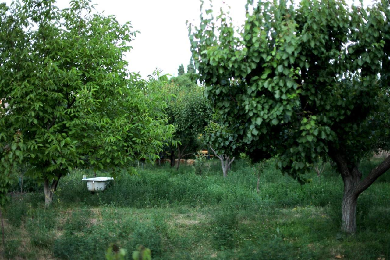 Noosh Guesthouse Ashnak Bagian luar foto