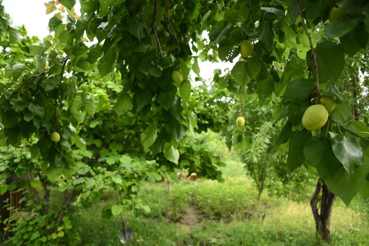 Noosh Guesthouse Ashnak Bagian luar foto